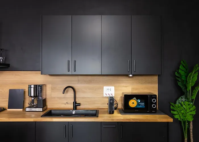 Ebonique- Oasi Aeroporto 피우미치노